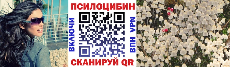 Псилоцибиновые грибы GOLDEN TEACHER  Цивильск 