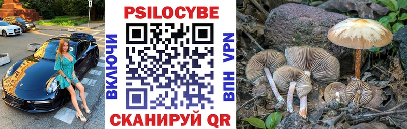 Галлюциногенные грибы ЛСД Цивильск